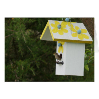 Bird Sång Hälsningskort