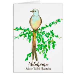 Bird Scissor Tails Flycatcher Mistletoe Blank Hälsningskort