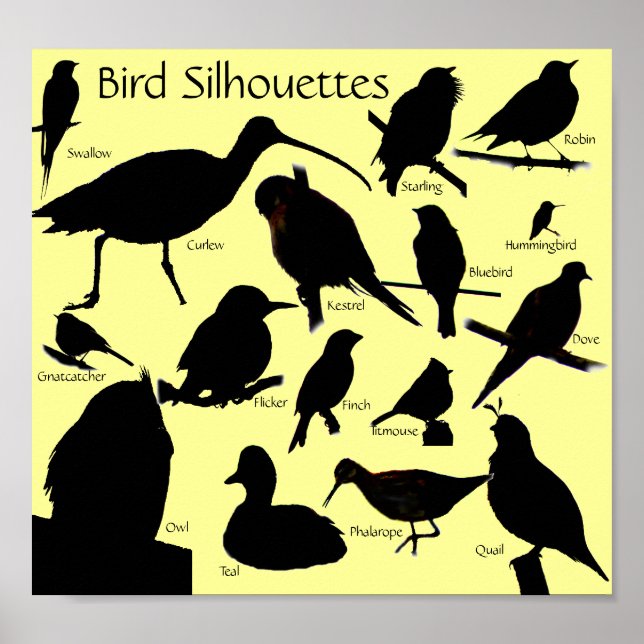 Bird Silhouettes (16) Poster (Framsidan)