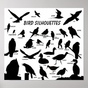 Bird Silhouettes (29) Poster
