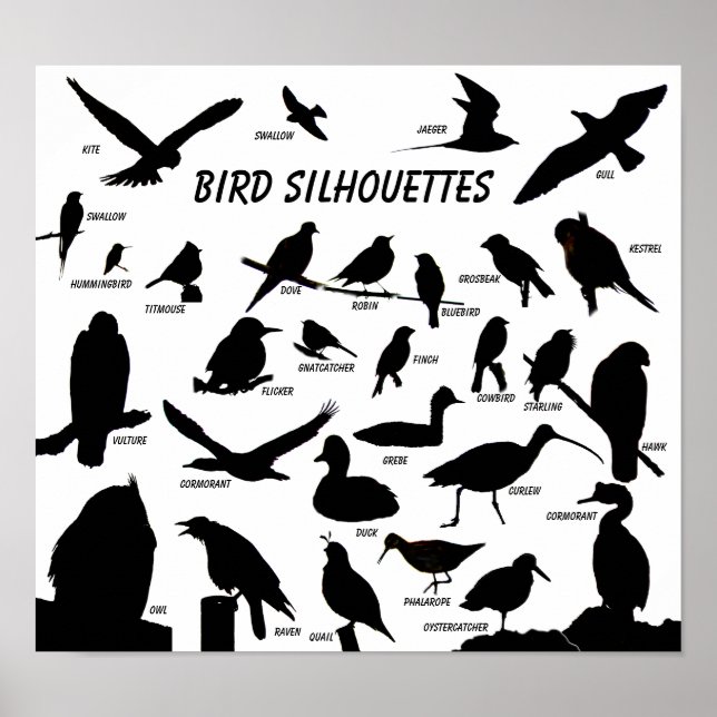 Bird Silhouettes (29) Poster (Framsidan)