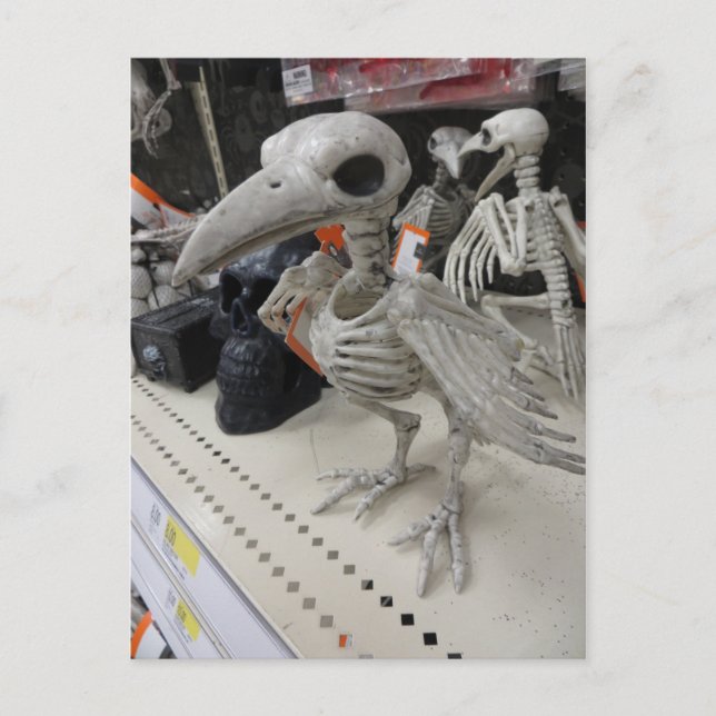 Bird Skeleton Dekoration Vykort (Framsida)