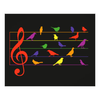 Bird Song, colorful design Fototryck
