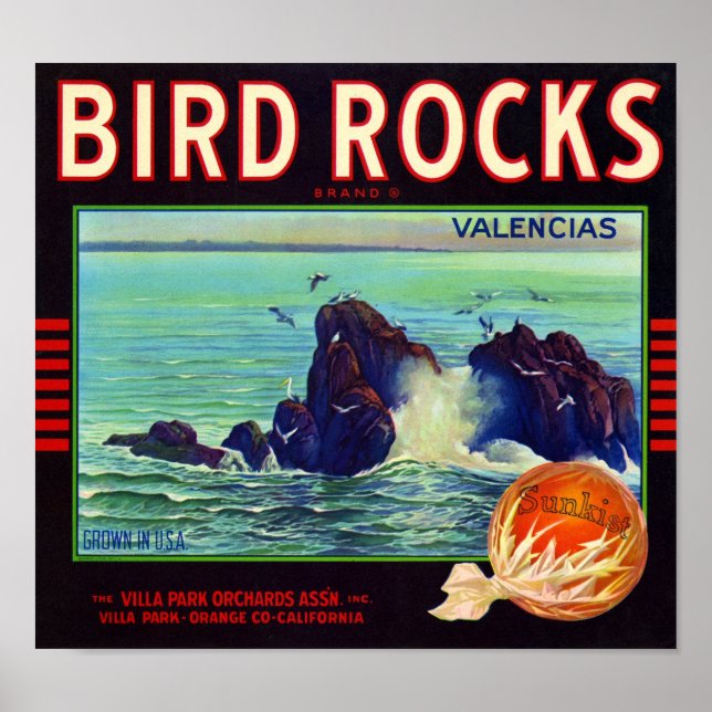 Bird Sten Brand Orange Fruit Låda etikett Poster (Framsidan)