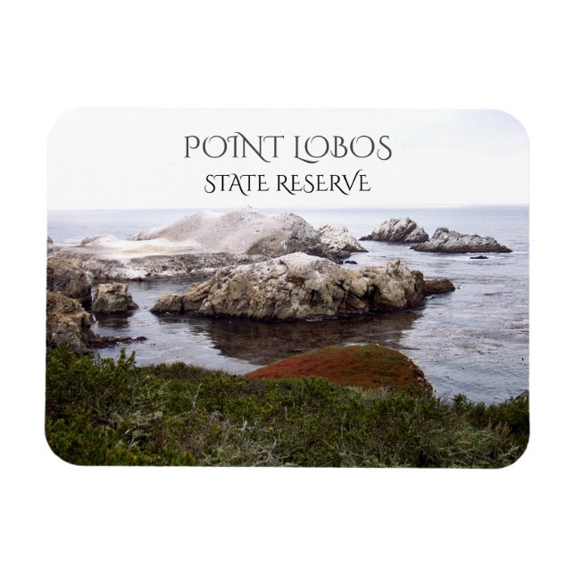 Bird Sten, Point Lobos State Reserve Magnet (Horisontell)