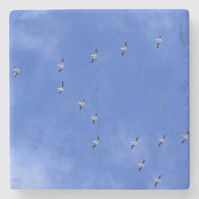 Bird Stenunderlägg (Framsidan)