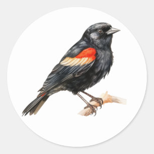 Bird Stickers Red-winged Blackbird Runt Klistermärke