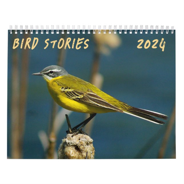 "Bird Stories" Fågelfotokalender Kalender (Omslag)