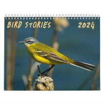 "Bird Stories" Fågelfotokalender