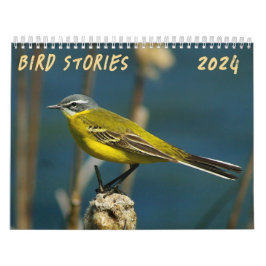 "Bird Stories" Fågelfotokalender Kalender