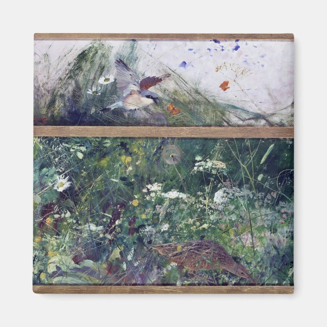 Bird Studies, Bruno Liljefors Magnet (Framsidan)