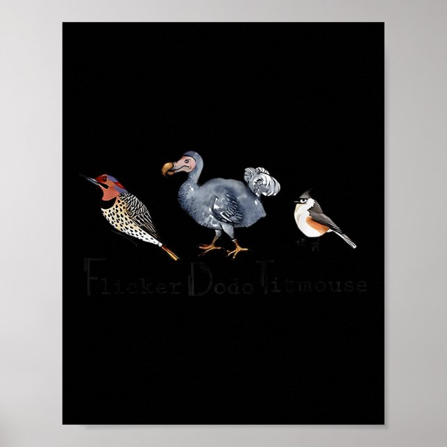 Bird Subtle Flicker Dodo Titmus Poster (Framsidan)
