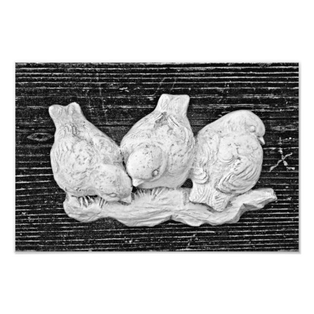 Bird Trio Fototryck (Framsidan)