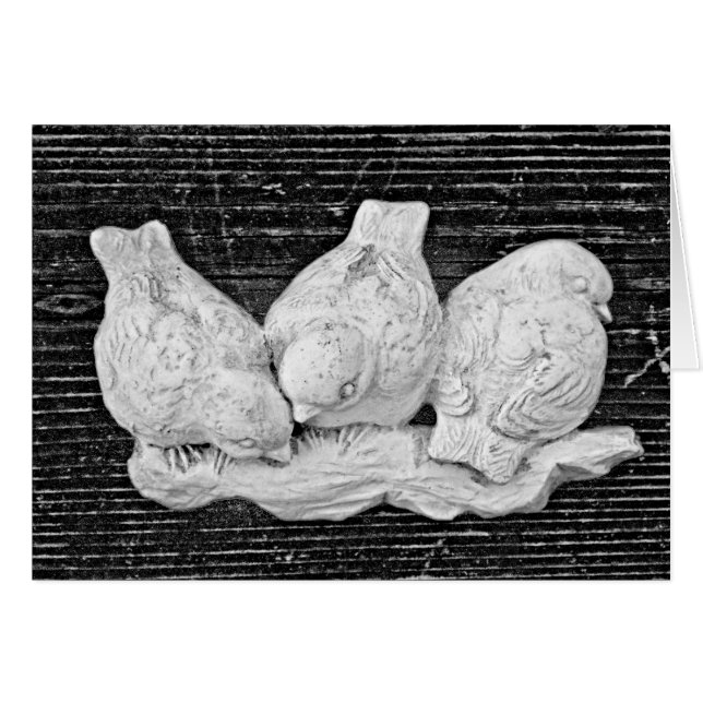 Bird Trio OBS Kort (Framsidan Horizontal)