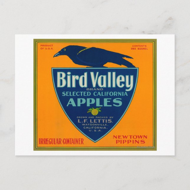 Bird Valley Apple Låda LabelWatsonville, CA Vykort (Framsida)