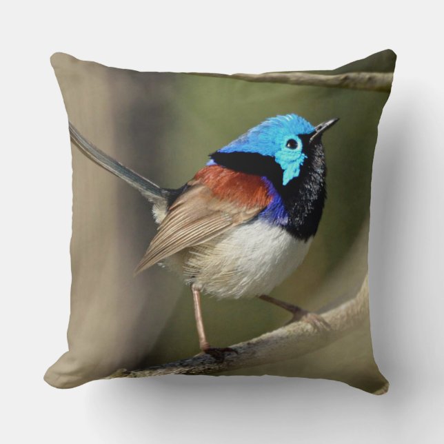 Bird - Variegated Fairywren Kudde (Framsida)