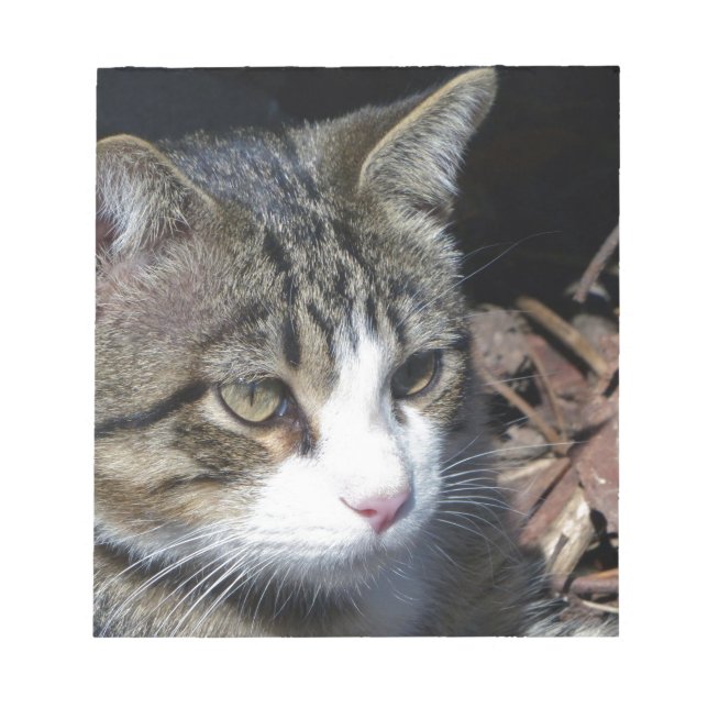 Bird Watching Anteckningsblock (Framsida)