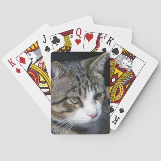 Bird Watching Spelkort (Baksidan)