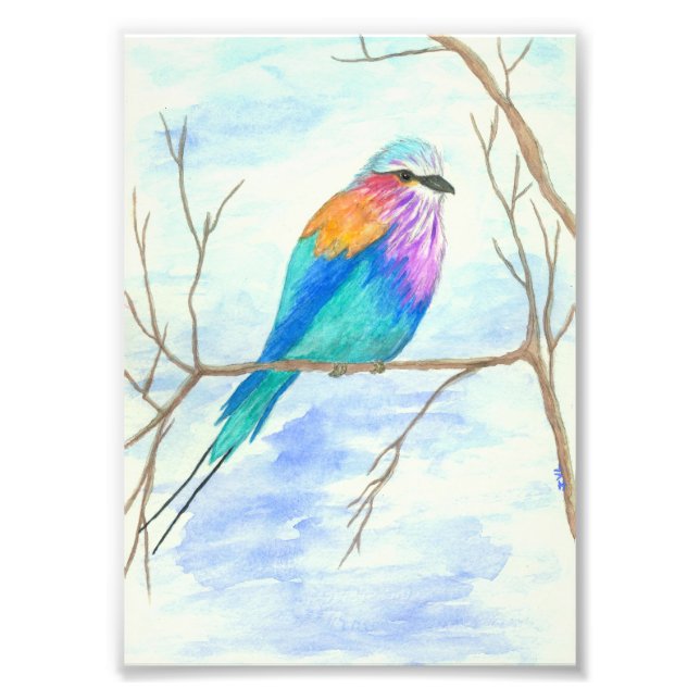 Bird Watercolor Art Lilac Brested Roller i Träd Fototryck (Framsidan)