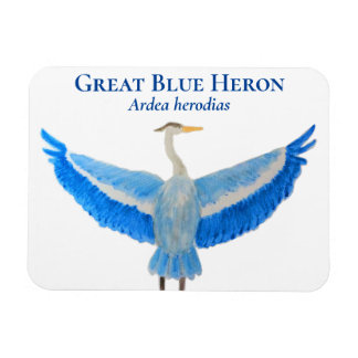Bird Watercolor Scientific Underbar Blue Heron Magnet