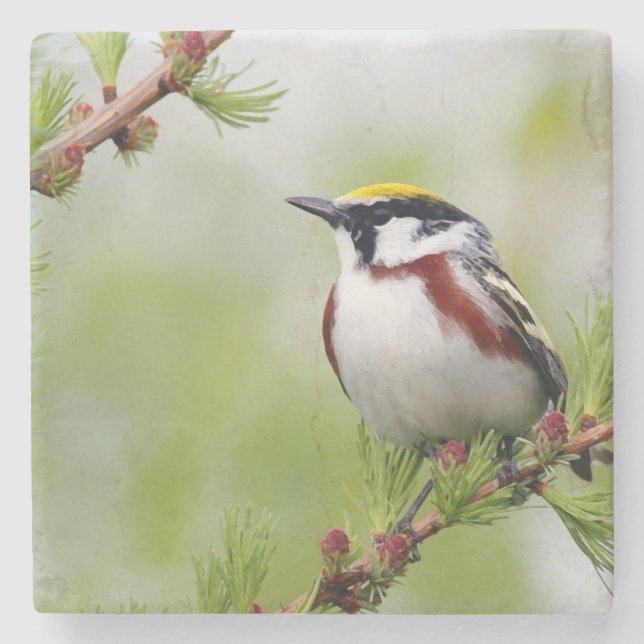 Bird yellow _coaster underlägg sten (Framsidan)
