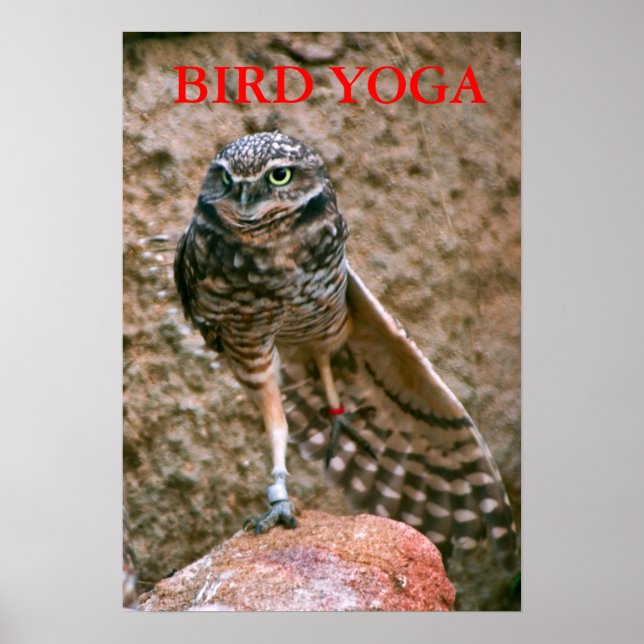 , BIRD YOGA POSTER (Framsidan)