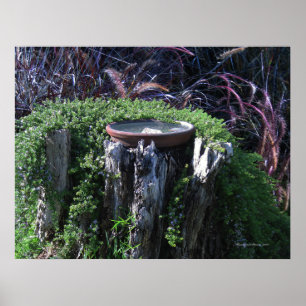 Birdbadet i Träd-stump Poster