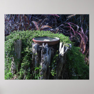 Birdbadet i Träd-stump Poster