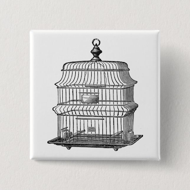 Birdcage Knapp (Framsida)