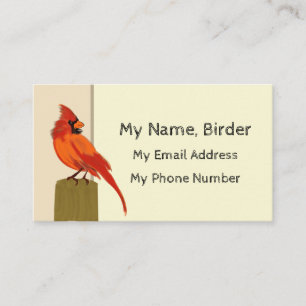 Birder