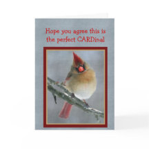 Birder Valentine Day Card