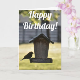Birdfeeder Silhouette Birthday Card Kort