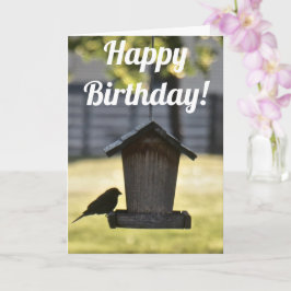 Birdfeeder Silhouette Birthday Card Kort