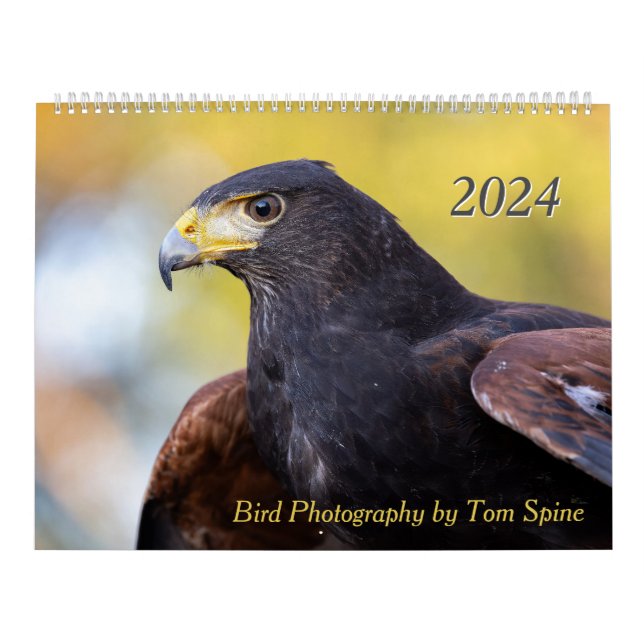 Birdfotografi av Tom Spine - 2024 Kalender (Omslag)