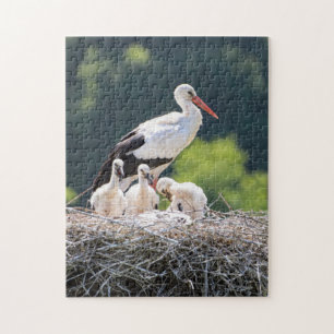 Birdfotografi på mor och Baby djur Pussel