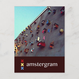 Birdhouse Amsterdam Vykort