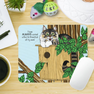 Birdhouse Bed Breakfast Cat Musmatta