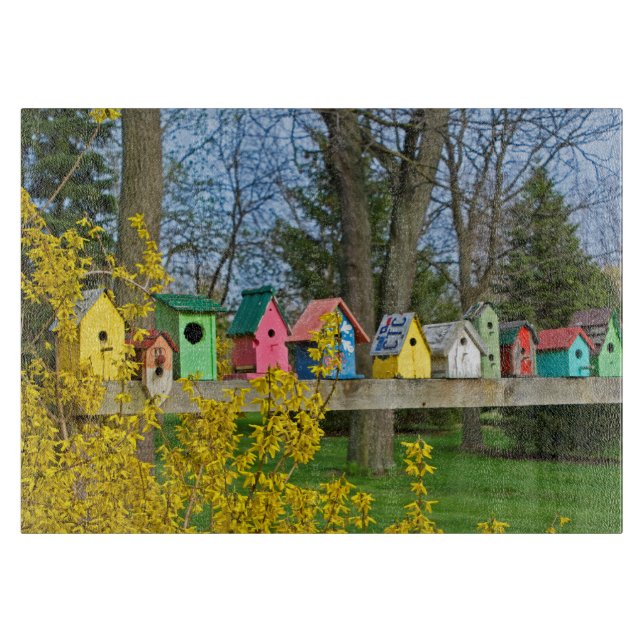 Birdhouse Boulevard (Framsidan)