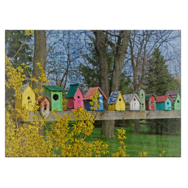 Birdhouse Boulevard (Framsidan)