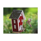 BirdHouse/Fågelhus