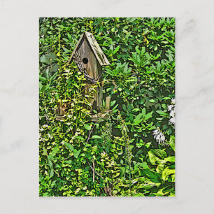 Birdhouse i Garden Vykort