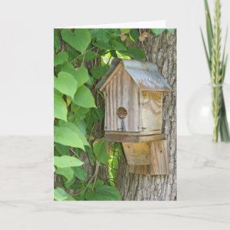 Birdhouse Kort
