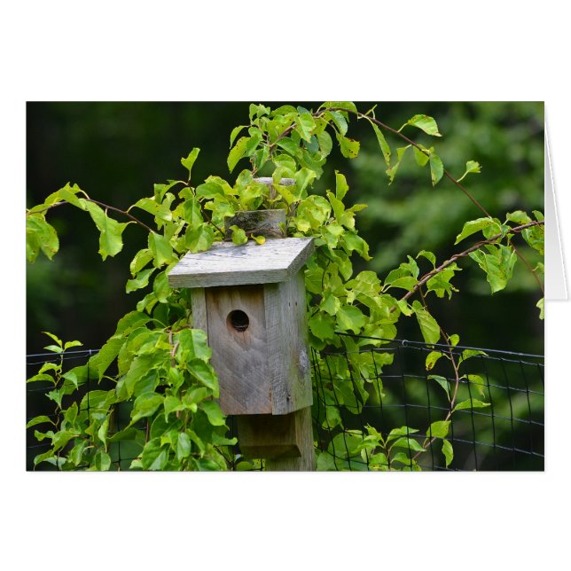 Birdhouse Notecard OBS Kort (Framsidan Horizontal)
