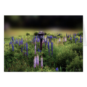 Birdhouse och Lupines Hälsningskort
