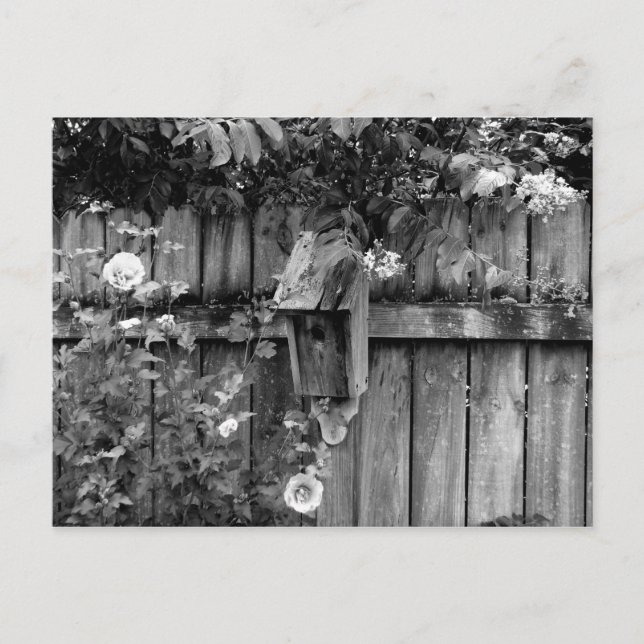 Birdhouse på sommaren vykort (Framsida)