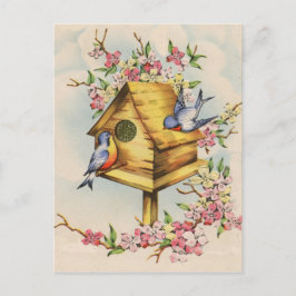 Birdhouse Vykort