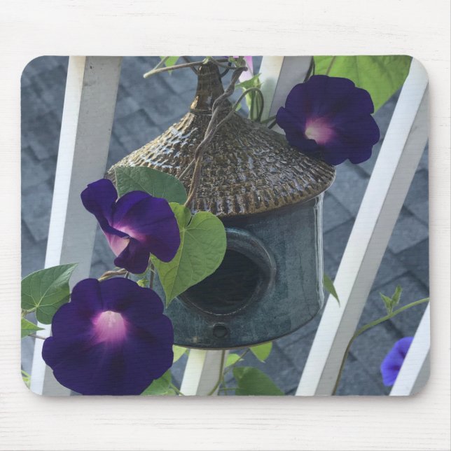 Birdhouse With Morning Glories Close-up Musmatta (Framsidan)