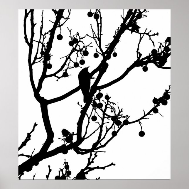 Birdie 4 poster (Framsidan)