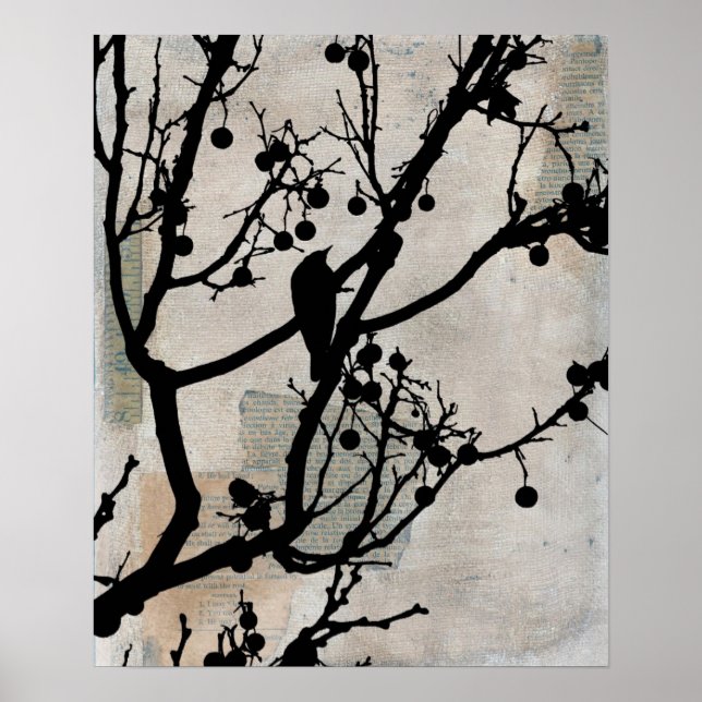 Birdie 6 poster (Framsidan)