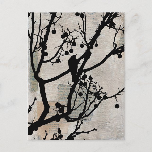 Birdie 6 vykort (Framsida)